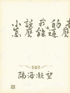 小说 我的老婆怎么能这么可爱?