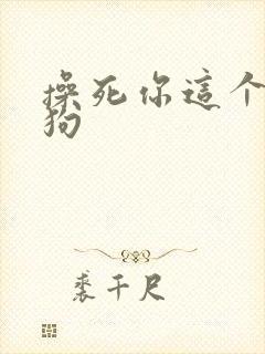 操死你这个小母狗