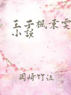王子枫袁雯洁的小说