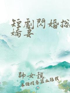 短剧闪婚总裁小娇妻