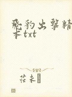 飞豹出击精校全本txt