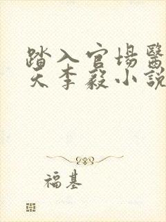 踏入官场医道问天李毅小说阅读
