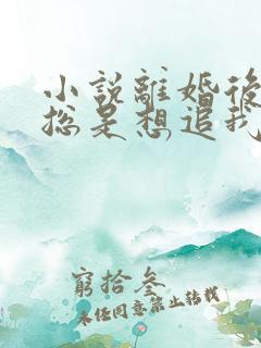 小说离婚后前夫总是想追我免费读