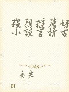 强烈推荐好看的小说言情古言