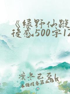 《绿野仙踪》读后感500字12篇