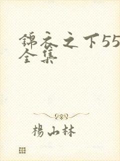 锦衣之下55集全集