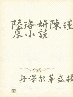 陆珞妍陈瑾南顾辰小说