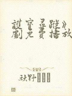 护宝寻踪》电视剧免费播放全集