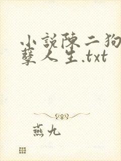 小说陈二狗的妖孽人生.txt