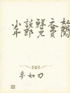 小说鲜衣怒马少年郎免费阅读