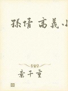 孙倩 高义小说