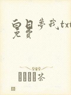 白日梦我txt免费