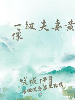 一级夫妻黄色录像