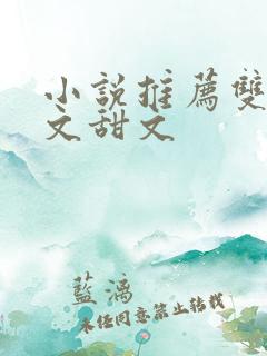 小说推荐双男主文甜文
