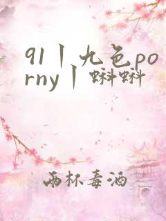 91丨九色porny丨蝌蚪