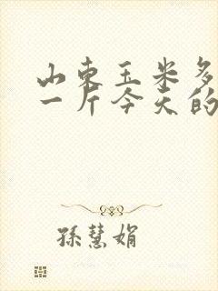 山东玉米多少钱一斤今天的