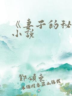 《妻子的秘密》小说
