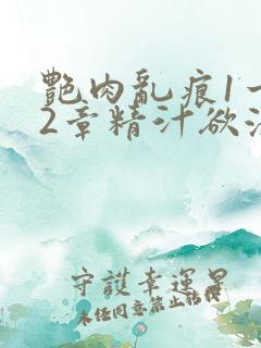 艳肉乱痕1一12章精汁欲液