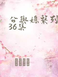 公与媳系列1—36集