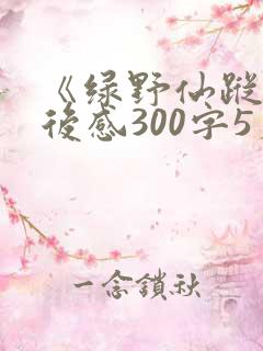 《绿野仙踪》读后感300字5篇