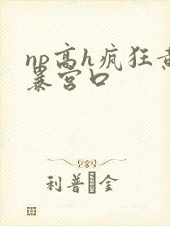 np高h疯狂黄暴宫口