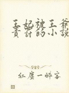 王妃被王爷家法责罚的小说