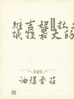维吉妮·拉朵嫣牺牲最大的一部电影