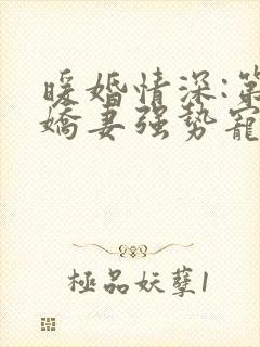 暖婚情深:第一娇妻强势宠