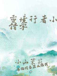 灵境行者小说无错字