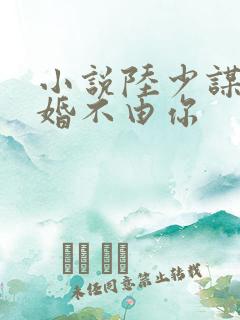 小说陆少谋妻之婚不由你