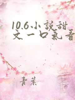 10.6小说甜文一口气看完