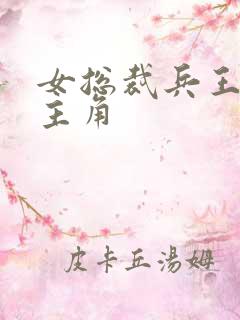 女总裁兵王萧晨主角