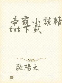 帝霸小说精校版txt下载