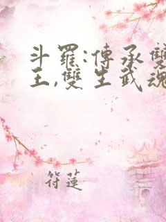斗罗:传承双神王,双生武魂