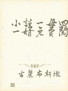 小说一母四女共一婿免费阅读