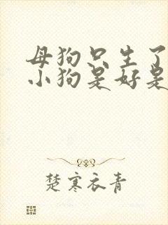 母狗只生了一只小狗是好是坏