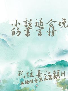 小说适合晚上看的书言情