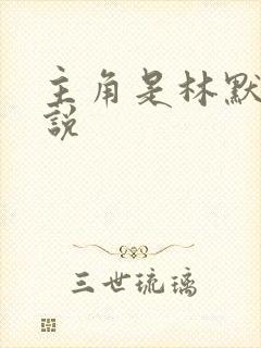 主角是林默的小说