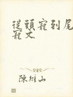 从头宠到尾的甜宠文