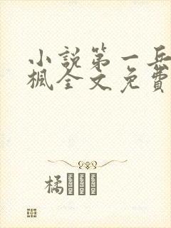 小说第一兵王于枫全文免费阅读