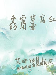 曹雪芹写红楼梦的用意