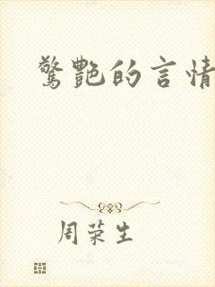 惊艳的言情小说