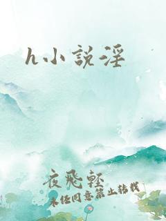 h小说淫