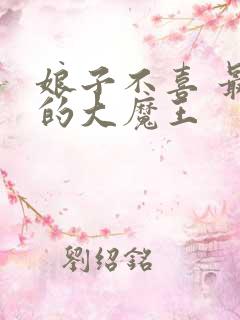 娘子不喜 最后的大魔王