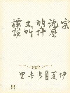 谭又明沈宗年小说叫什么