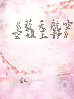《蓝天航空公司空姐王静》小说