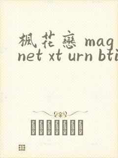 枫花恋 magnet xt urn btih