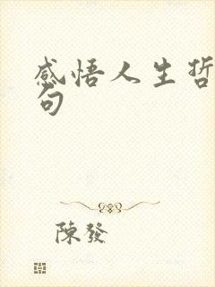 感悟人生哲理短句