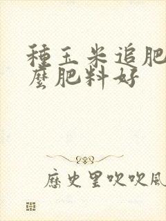 种玉米追肥用什么肥料好