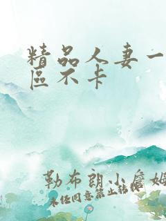 精品人妻一区二区不卡